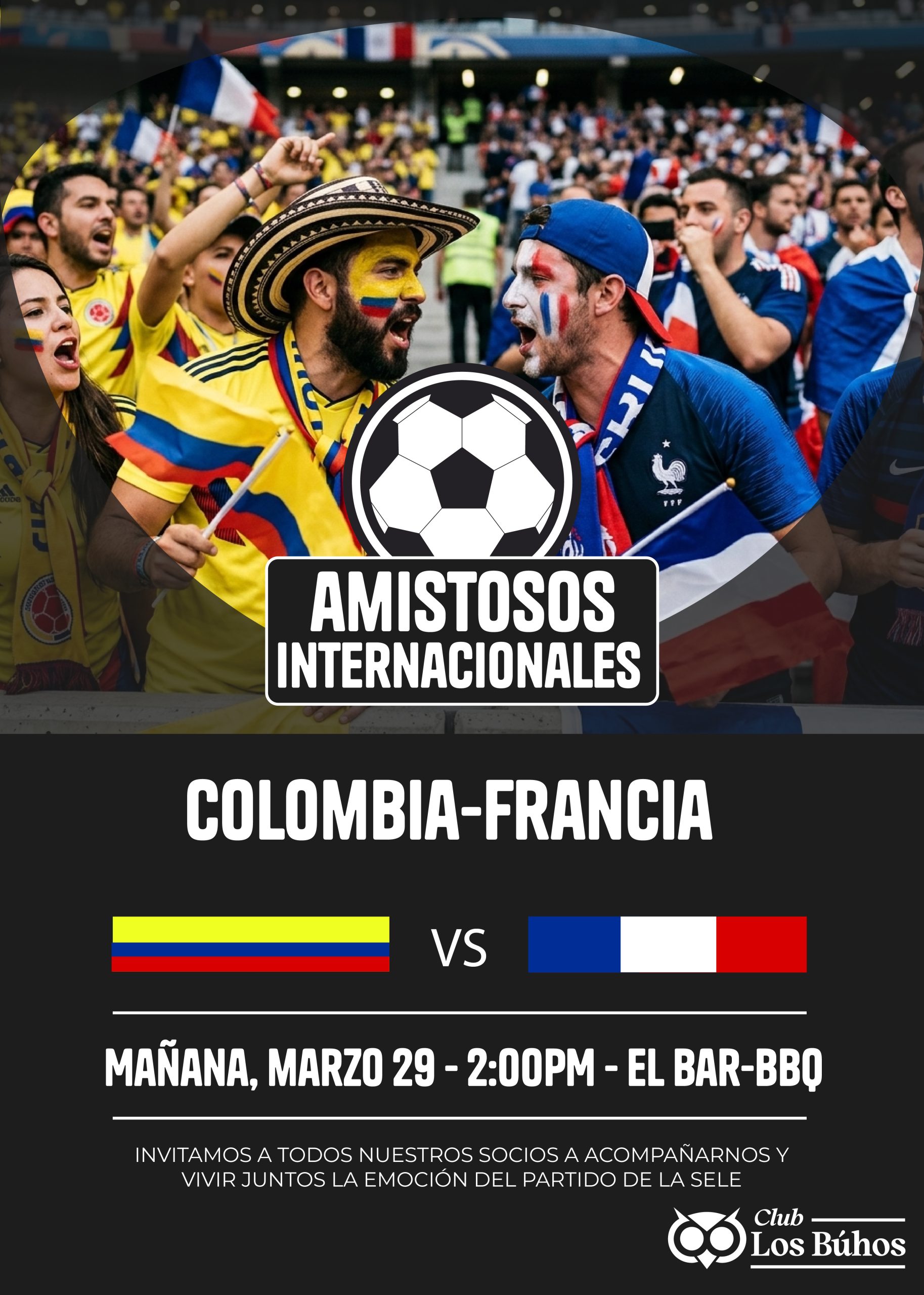 afichepartidofrancia